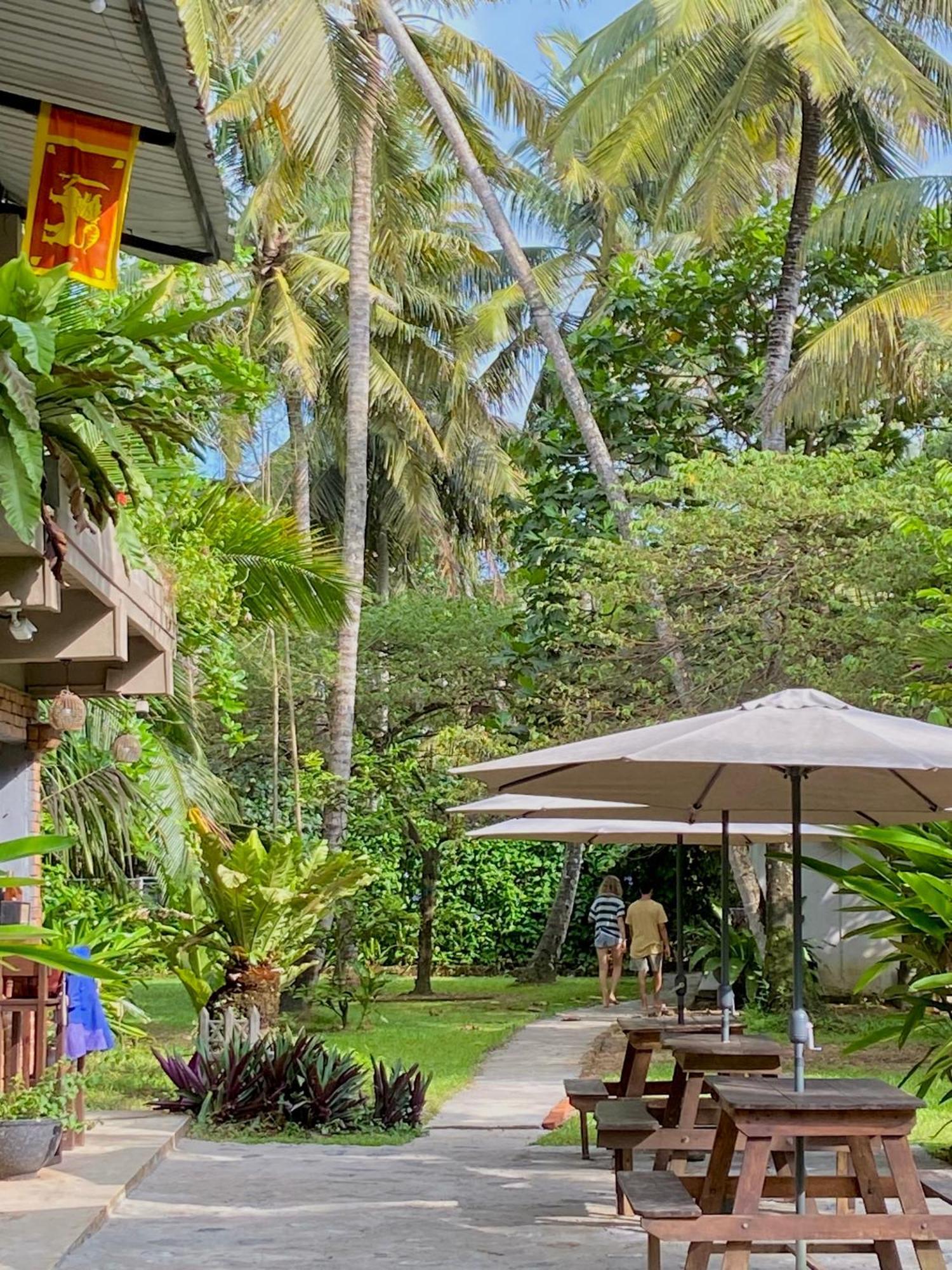 Babylon Mirissa Hostel Ngoại thất bức ảnh