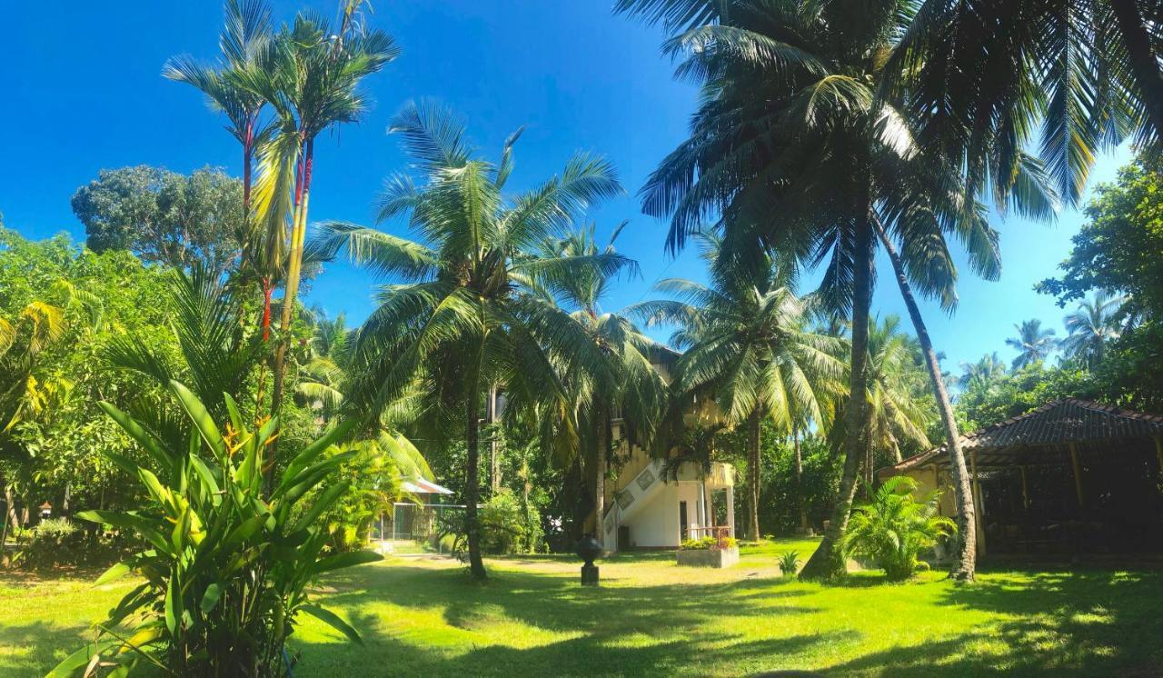 Babylon Mirissa Hostel Ngoại thất bức ảnh